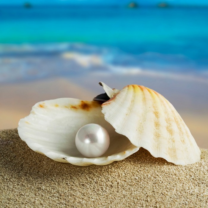 A shell with a pearl on it sitting in the sand.