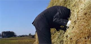 4 Tips for Finding the Needle in Your Haystack