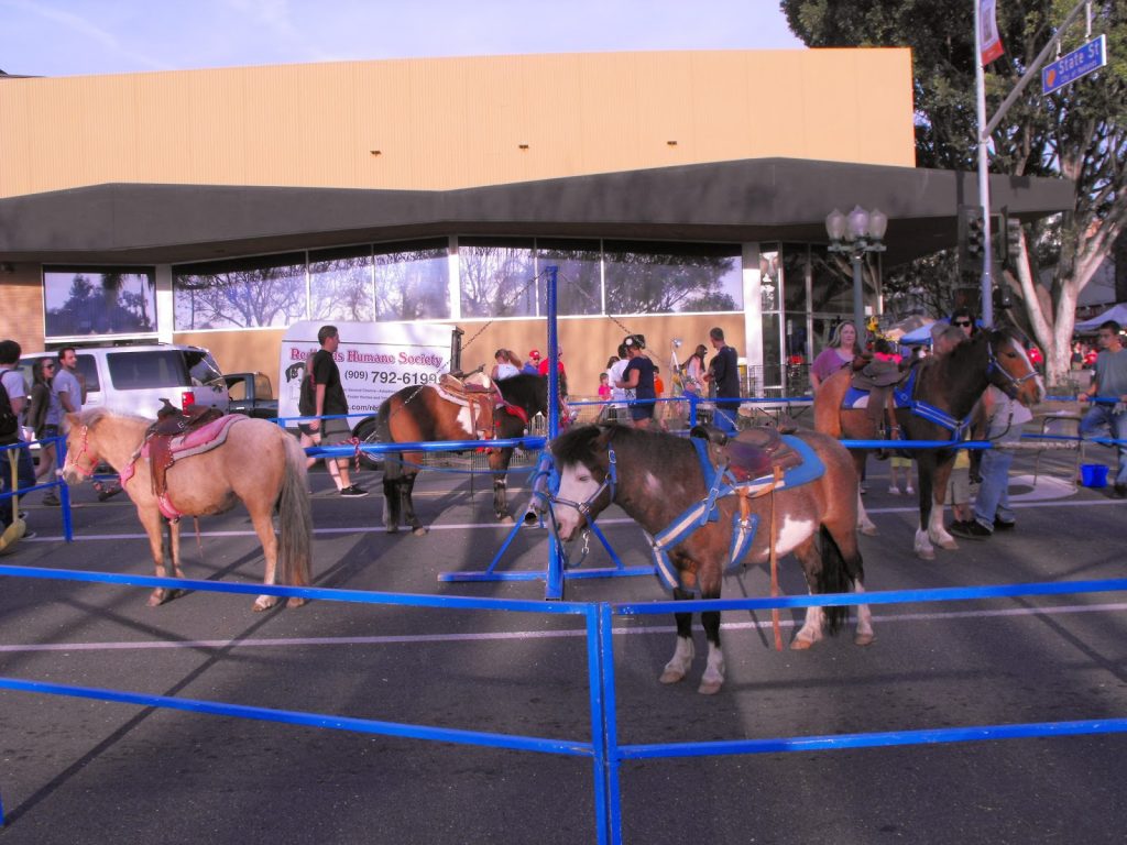 A group of people standing around horses in a pen.