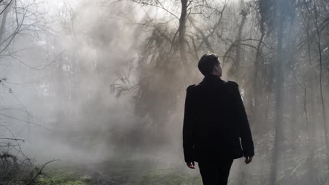 Person walking through a foggy forest.