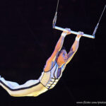 Aerialist performing on trapeze bars.