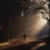 A person walking down the road in the woods