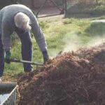 Person shoveling compost in a garden.