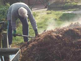 The Benefits of Manure