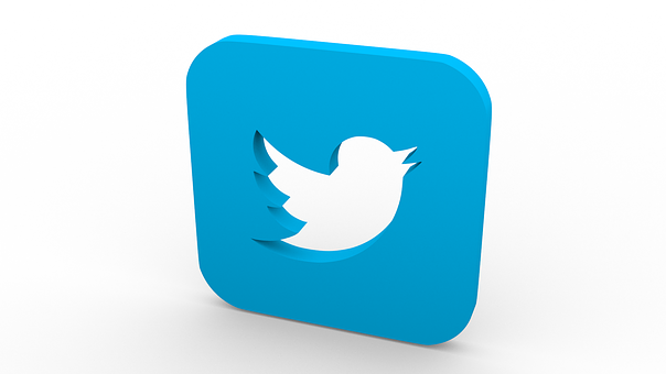 Twitter logo in blue square design.