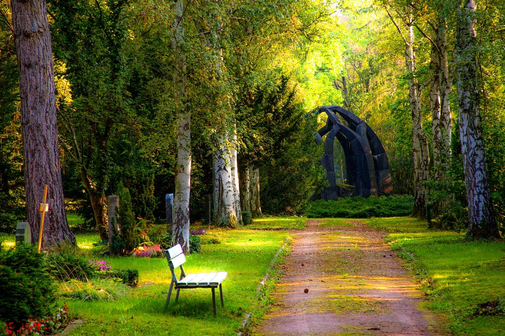 A park bench sitting on the side of a road.