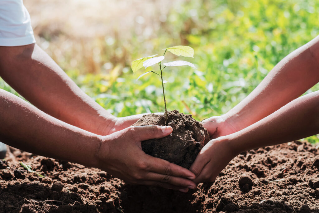 My Relentless Search for ‘Good Soil’